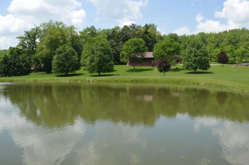 A serene landscape featuring a calm pond reflecting trees and a house surrounded by lush greenery under a blue sky.