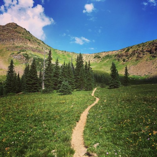 A winding dirt path leads through a lush green meadow, surrounded by tall trees and mountains under a blue sky.