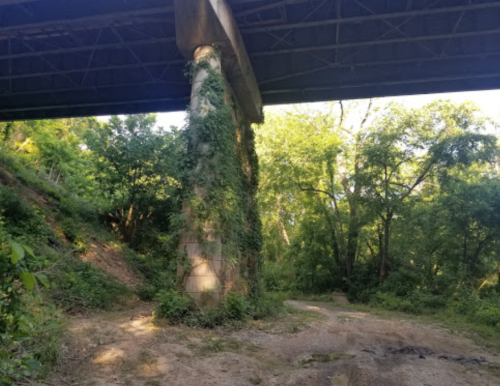 A concrete pillar covered in greenery, standing under a bridge surrounded by trees and a dirt path.