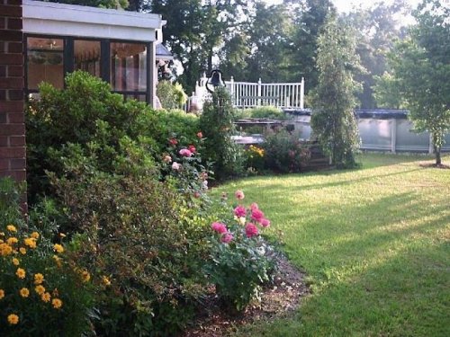 A lush garden with colorful flowers and greenery, featuring a patio area and a pool in the background.