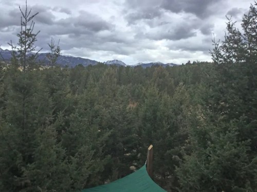 A view of a dense forest with mountains in the background under a cloudy sky.