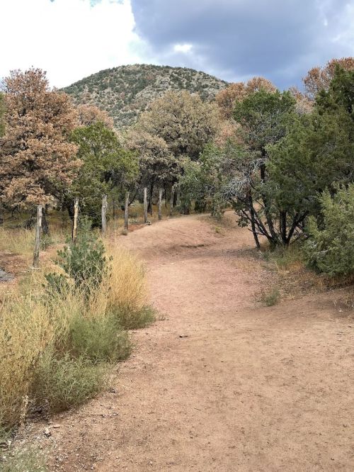 A dirt path winds through a landscape of shrubs and trees, with a mountain in the background under a cloudy sky.