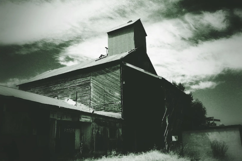 A weathered barn stands against a cloudy sky, showcasing rustic wooden textures and overgrown grass.