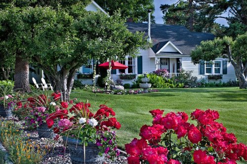 A charming house surrounded by lush green grass and vibrant flower beds, featuring red roses and a patio with an umbrella.