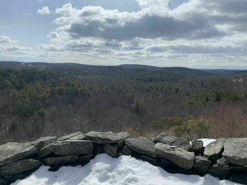 A scenic view of a forested landscape with a stone wall in the foreground and cloudy skies above.