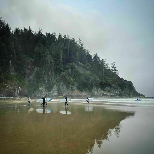Surfers walking along a misty beach with trees and cliffs in the background, reflecting on the wet sand.