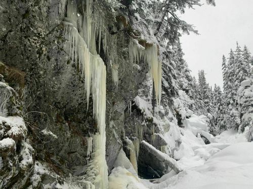 Icicles hang from a rocky cliff surrounded by snow-covered trees in a winter landscape.