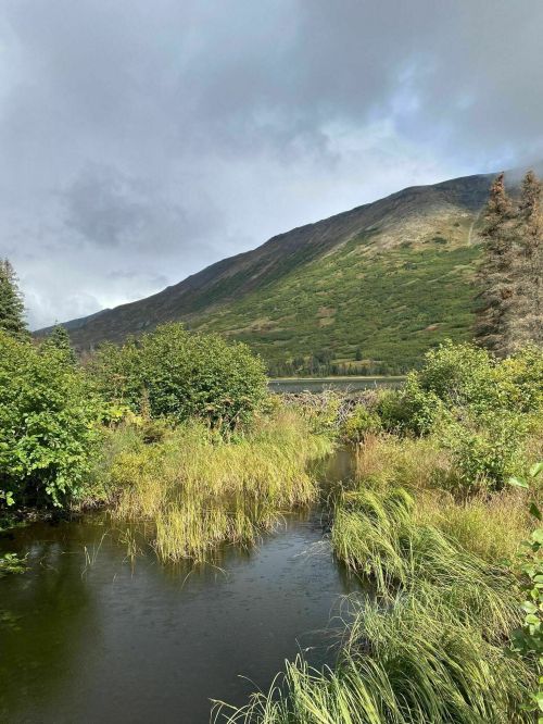 A serene landscape featuring a calm stream, lush greenery, and a mountain under a cloudy sky.