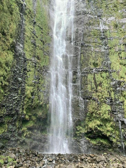 A tall waterfall cascading down a rocky cliff, surrounded by lush green vegetation.