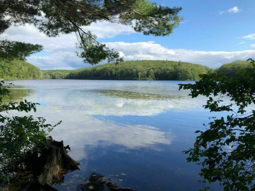 A serene lake surrounded by lush green hills and trees, reflecting the blue sky and clouds above.