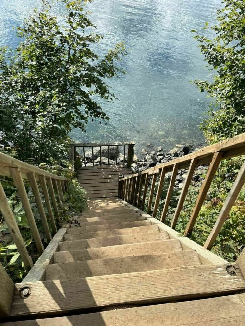 A wooden staircase leads down to a clear body of water, surrounded by lush greenery.