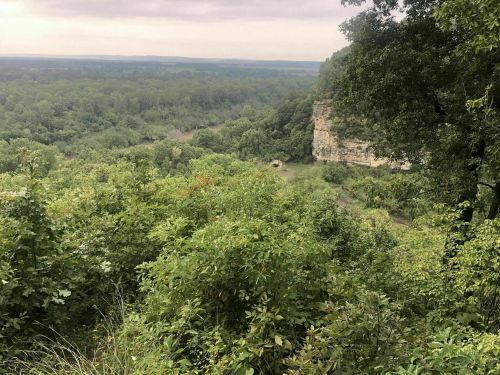 Lush green landscape with dense trees and a rocky cliff, overlooking a valley under a cloudy sky.