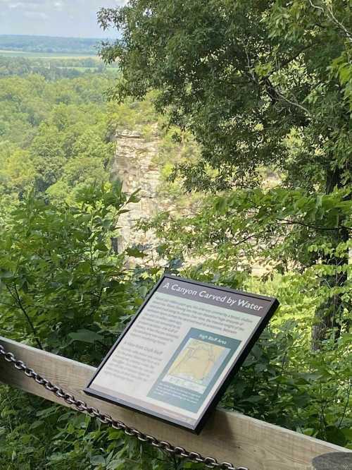 A sign titled "A Canyon Carved by Water" stands on a wooden railing, overlooking a lush green canyon landscape.