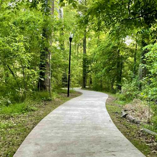 A winding path through a lush green forest, lined with trees and a lamp post.