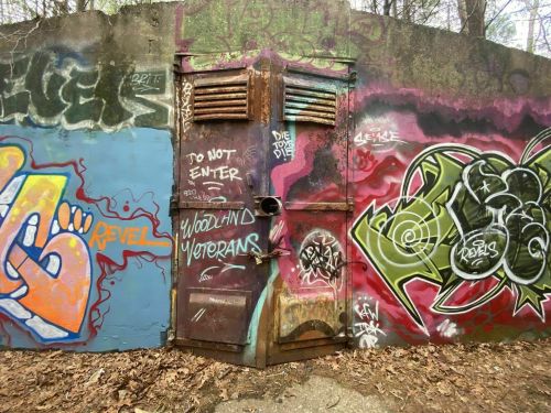 A rusty door on a graffiti-covered wall in a wooded area, featuring colorful street art and messages.