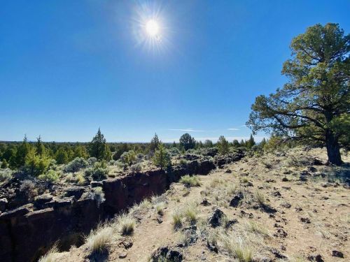 A sunlit landscape featuring rocky terrain, sparse vegetation, and a clear blue sky with distant trees.