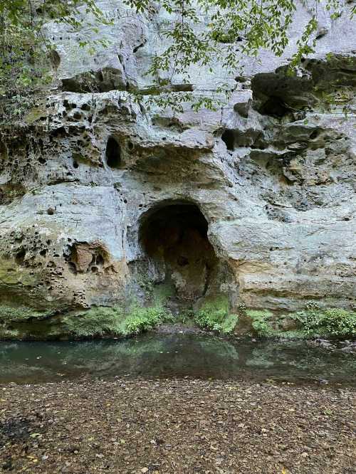 A rocky cliff with a cave entrance, surrounded by greenery and a shallow stream in the foreground.