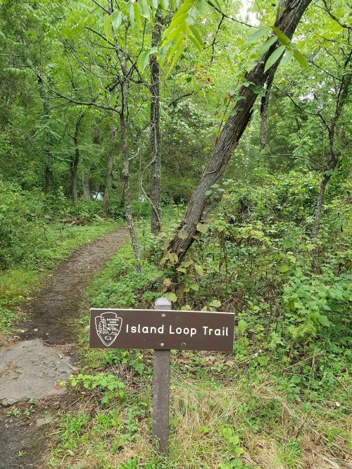 A wooden sign for the Island Loop Trail beside a narrow path through lush green foliage and trees.