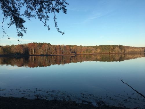 A calm lake reflecting trees and a clear blue sky, surrounded by autumn foliage.
