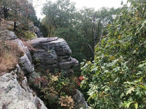 Rocky cliffside surrounded by lush greenery and trees, showcasing a natural landscape in a serene environment.