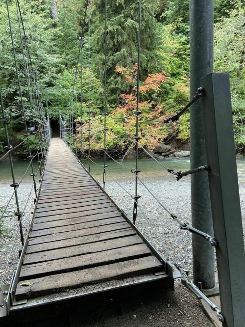 A wooden suspension bridge leads into a lush, green forest with hints of autumn colors in the background.