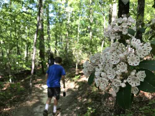 A person walks along a wooded trail, with white flowers in focus on the right side of the image.