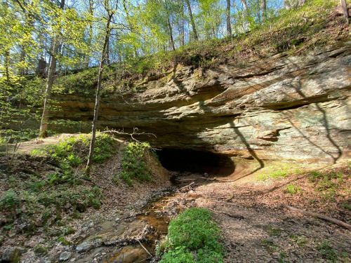 A rocky cave entrance surrounded by lush greenery and trees, with a small stream flowing nearby.