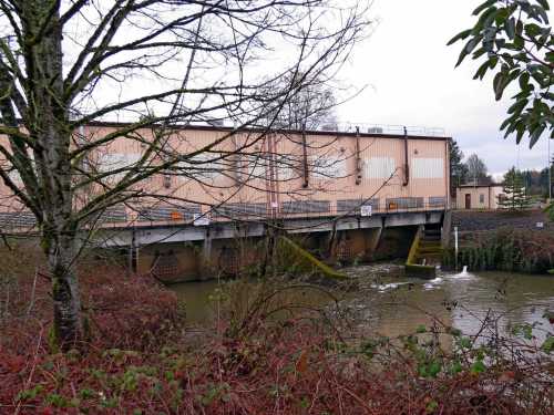 A large industrial building beside a river, surrounded by trees and shrubs, with water flowing from a pipe.