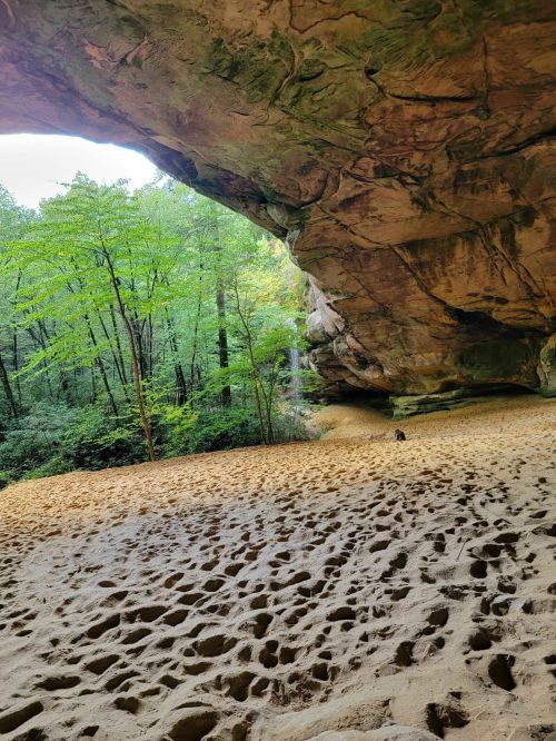 A sandy area under a rocky overhang, surrounded by lush green trees and a small waterfall in the background.