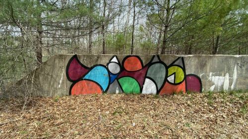 Colorful abstract graffiti on a concrete wall, surrounded by trees and fallen leaves.