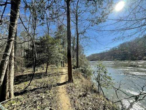 A serene riverbank scene with a winding path, surrounded by trees under a clear blue sky.