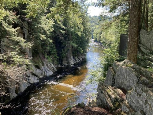 A serene river flows through a lush, green forest, flanked by rocky cliffs and trees under a clear blue sky.