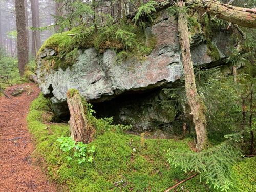 A large moss-covered rock surrounded by trees and greenery on a forest path.