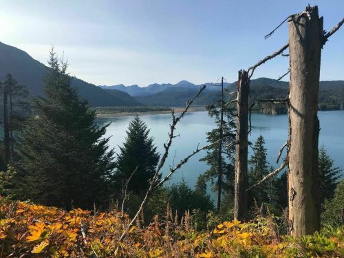 Scenic view of a lake surrounded by mountains, with autumn foliage in the foreground and tall trees in the background.