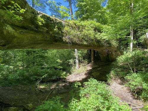A large, moss-covered rock formation arches over a forested area, surrounded by lush green trees and undergrowth.