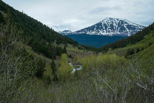 A scenic view of a valley with a river, surrounded by lush greenery and a snow-capped mountain in the background.