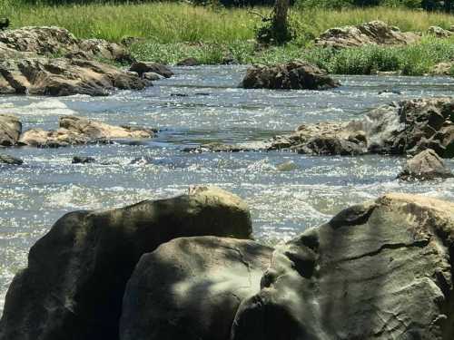 A serene river flows over rocks, surrounded by lush greenery and sunlight reflecting on the water's surface.