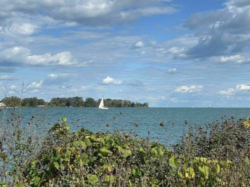 A serene lake scene with a sailboat in the distance, surrounded by greenery and a cloudy blue sky.