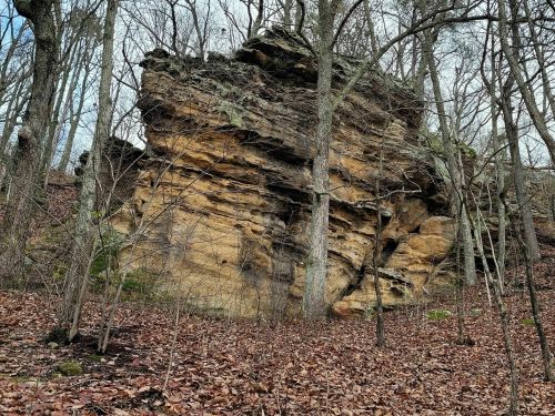 A large rock formation surrounded by bare trees and fallen leaves in a wooded area.