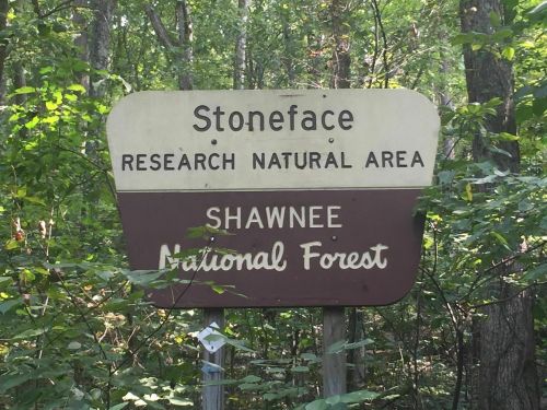 Sign for Stoneface Research Natural Area in Shawnee National Forest, surrounded by trees and greenery.