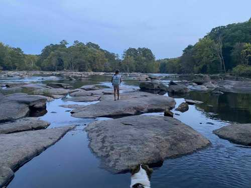 A person stands on rocks by a calm river at dusk, with trees lining the shore and a dog in the foreground.