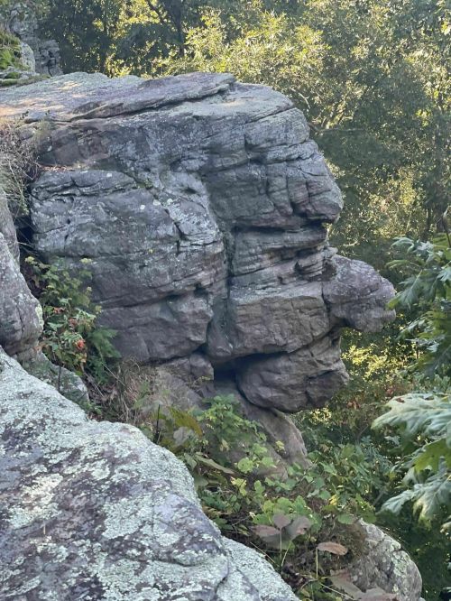 A rock formation resembling a human face, surrounded by greenery and trees.