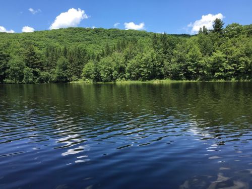 A serene lake surrounded by lush green trees under a clear blue sky with fluffy white clouds.