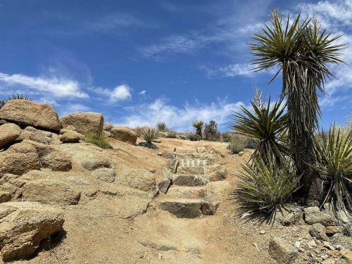 A rocky path leads up a desert hillside, surrounded by sparse vegetation and a blue sky with scattered clouds.