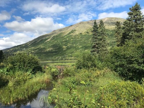 Lush green landscape with a mountain backdrop, blue sky, and scattered clouds, featuring a small pond and dense vegetation.