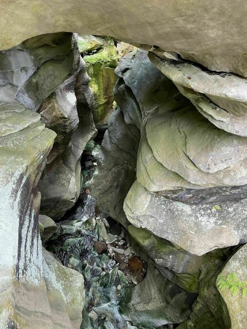A narrow canyon with smooth, layered rock walls and a small stream at the bottom, surrounded by greenery.
