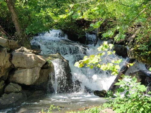 A serene waterfall cascades over rocks, surrounded by lush green foliage and trees.