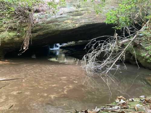 A serene natural scene featuring a rocky overhang above a calm stream, surrounded by greenery and fallen branches.