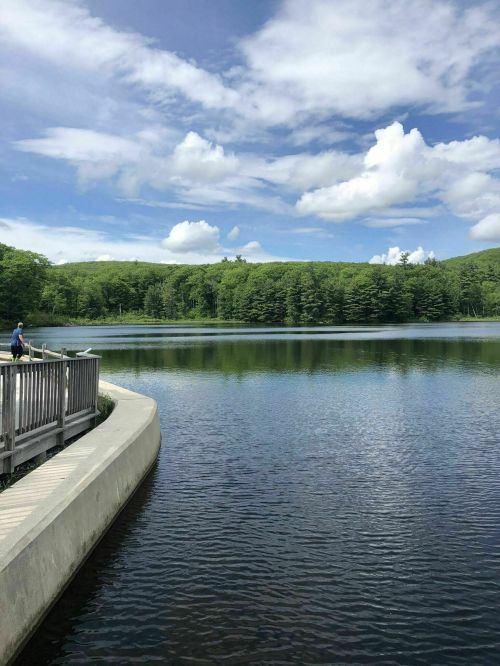 A serene lake surrounded by lush greenery under a blue sky with fluffy clouds, featuring a wooden walkway.