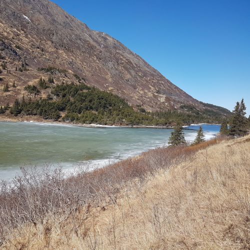A serene river flows between mountains, with green trees lining the banks under a clear blue sky.